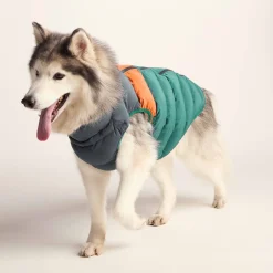 Fetch Padded Dog Coat L - Dark Indigo/Mahogany Orange/Dark Turquoise