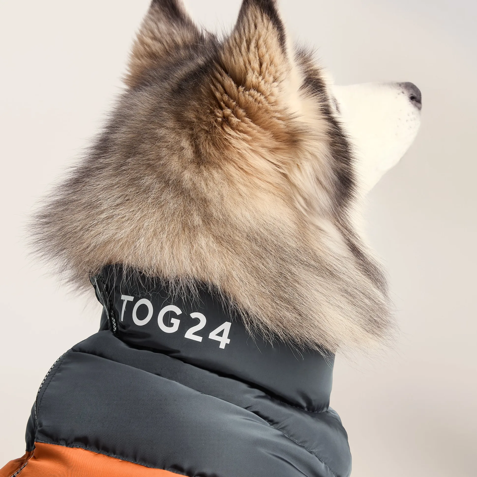 Fetch Padded Dog Coat L - Dark Indigo/Mahogany Orange/Dark Turquoise