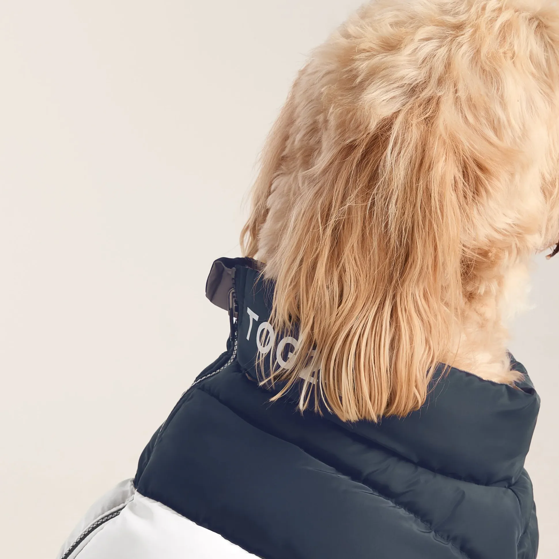 Fetch Padded Dog Coat L - Dark Indigo/Vanilla/Light Forest