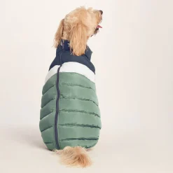 Fetch Padded Dog Coat L - Dark Indigo/Vanilla/Light Forest