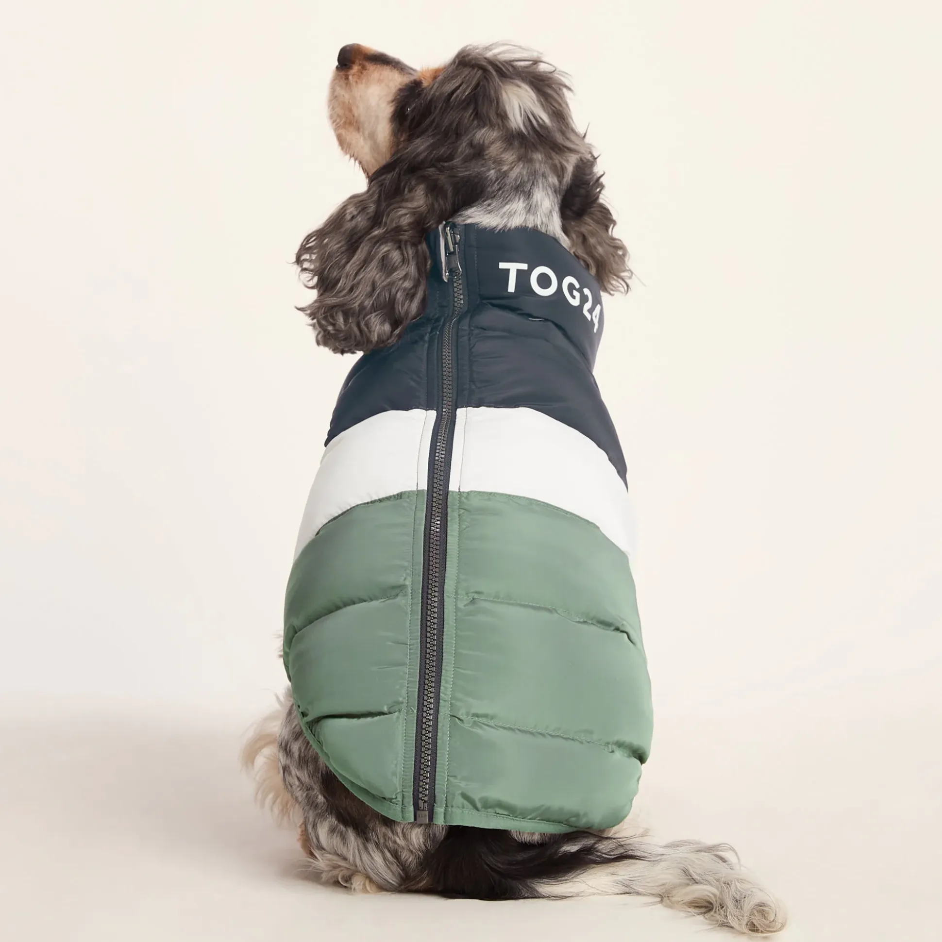 Fetch Padded Dog Coat M - Dark Indigo/Vanilla/Light Forest