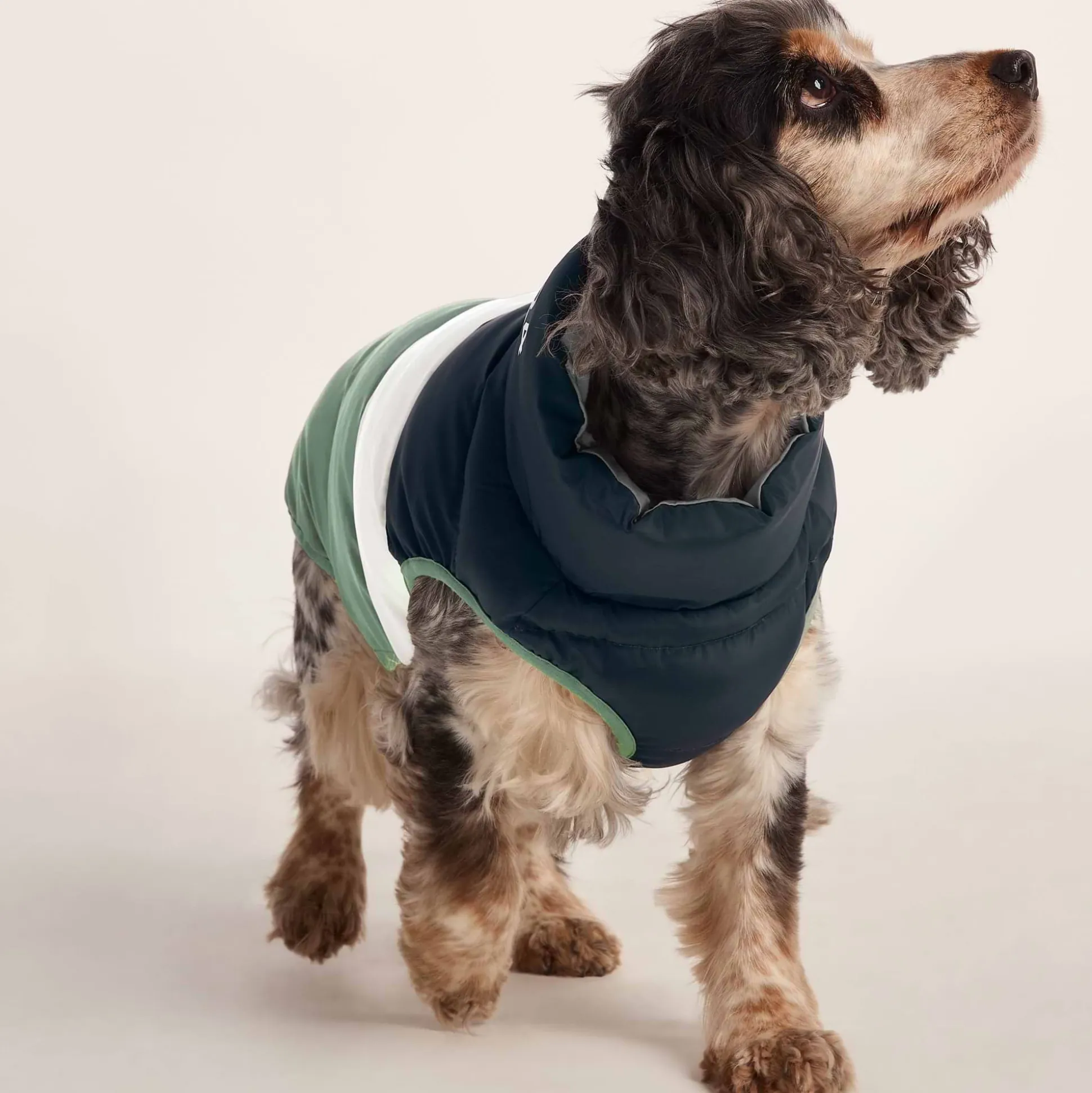 Fetch Padded Dog Coat M - Dark Indigo/Vanilla/Light Forest