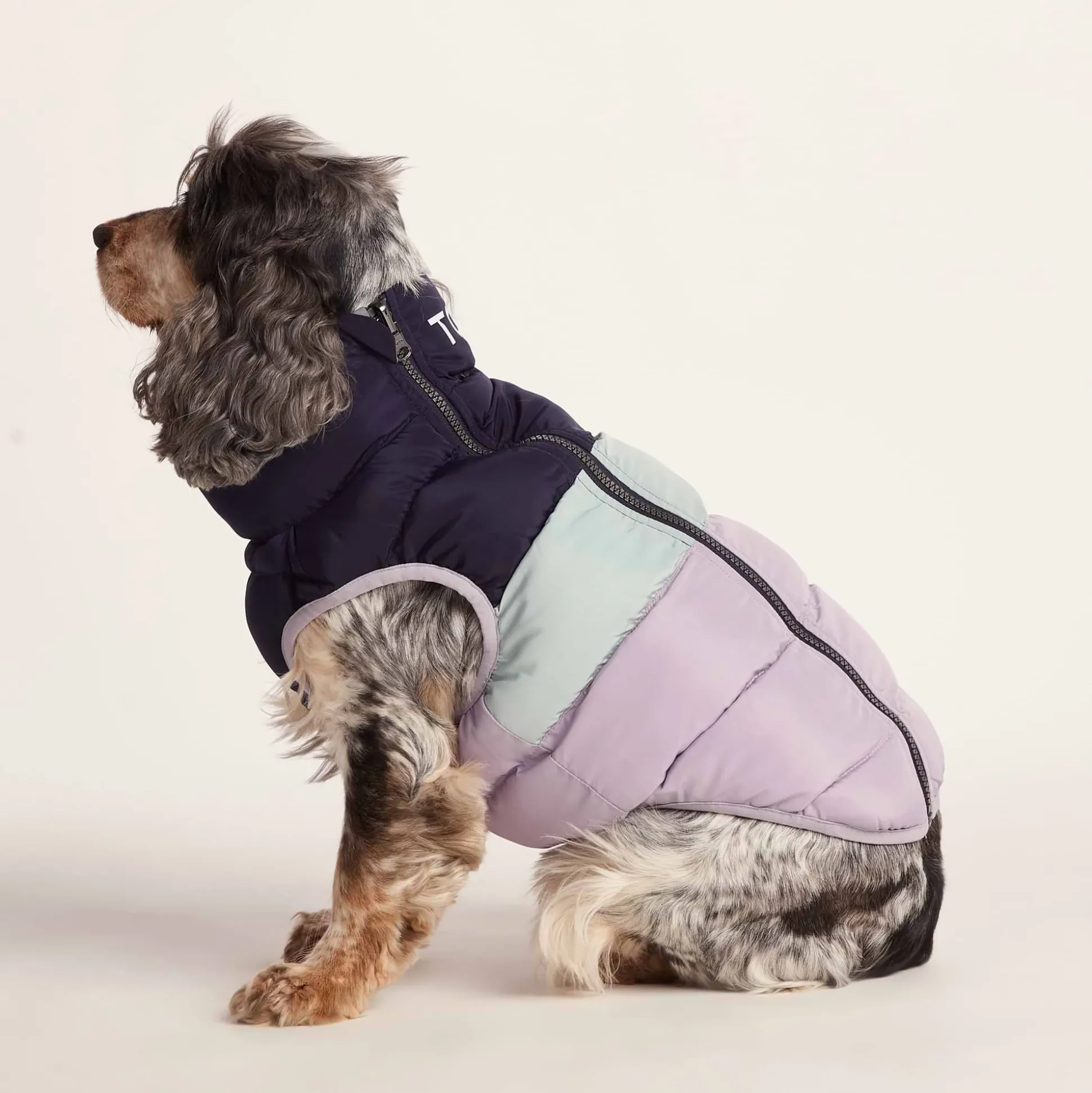 Fetch Padded Dog Coat M - Oxford Blue/Light Mist/Lavender Grey