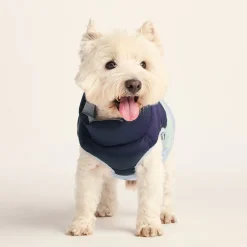 Fetch Padded Dog Coat S - Oxford Blue/Light Mist/Lavender Grey