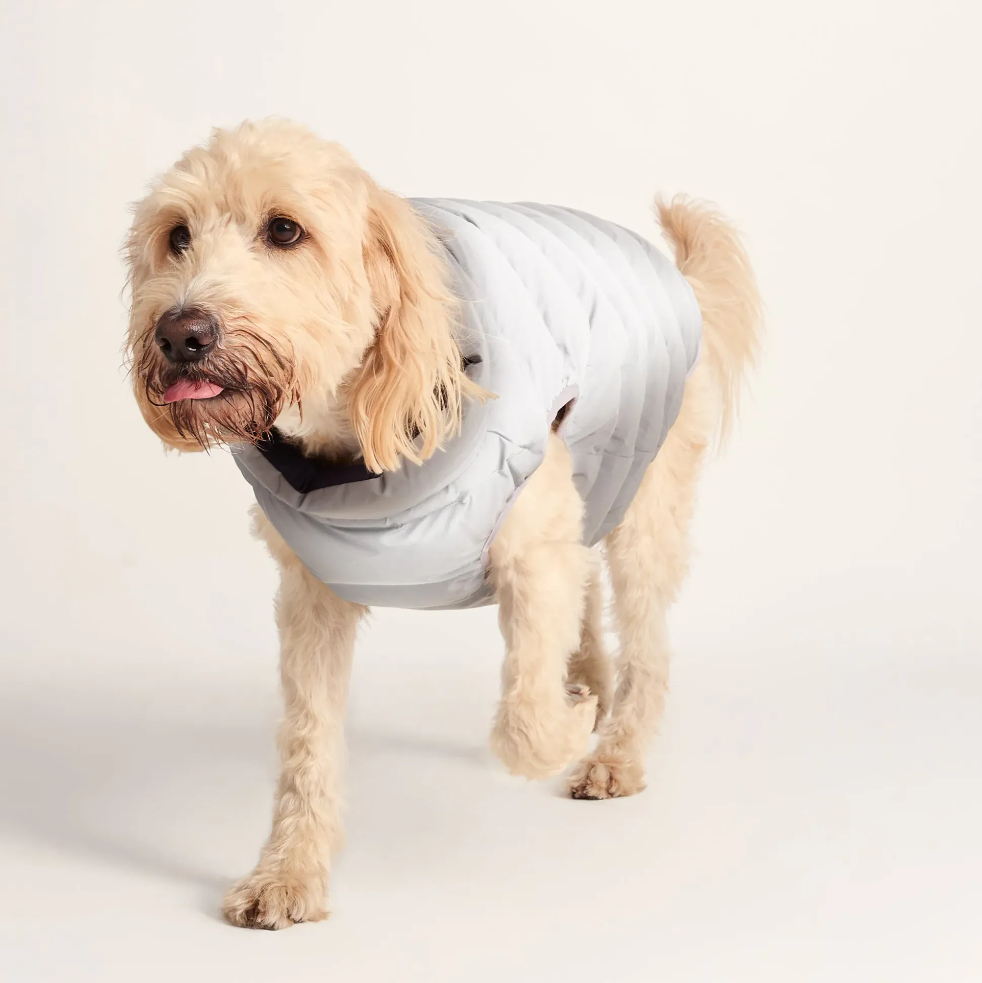 Fetch Padded Dog Coat XL - Oxford Blue/Light Mist/Lavender Grey