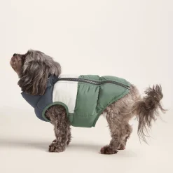 Fetch Padded Dog Coat XS - Dark Indigo/Vanilla/Light Forest