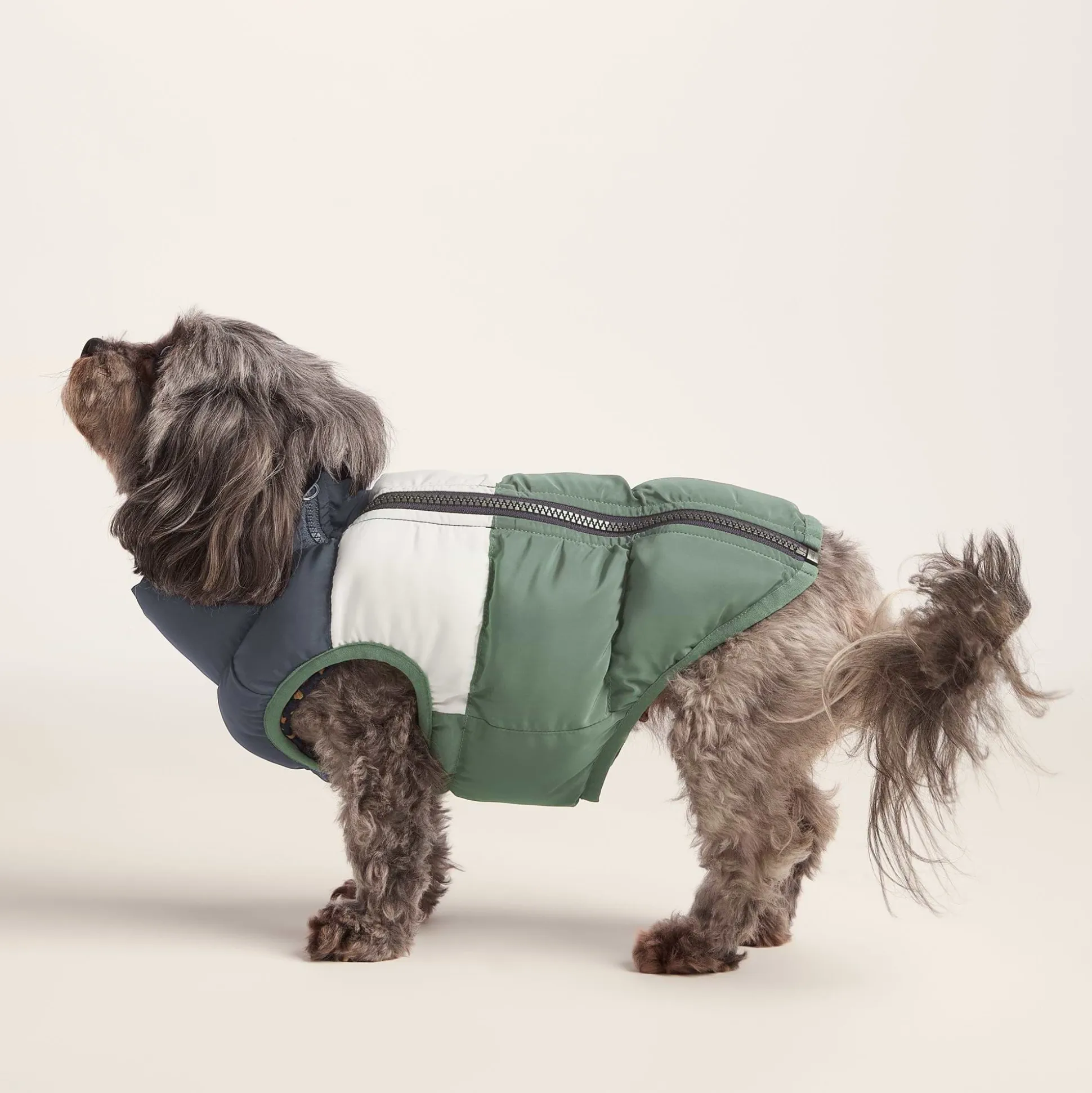 Fetch Padded Dog Coat XS - Dark Indigo/Vanilla/Light Forest