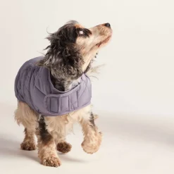 Fido Padded Dog Coat M - Dusky Lilac