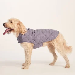 Fido Padded Dog Coat XL - Dusky Lilac