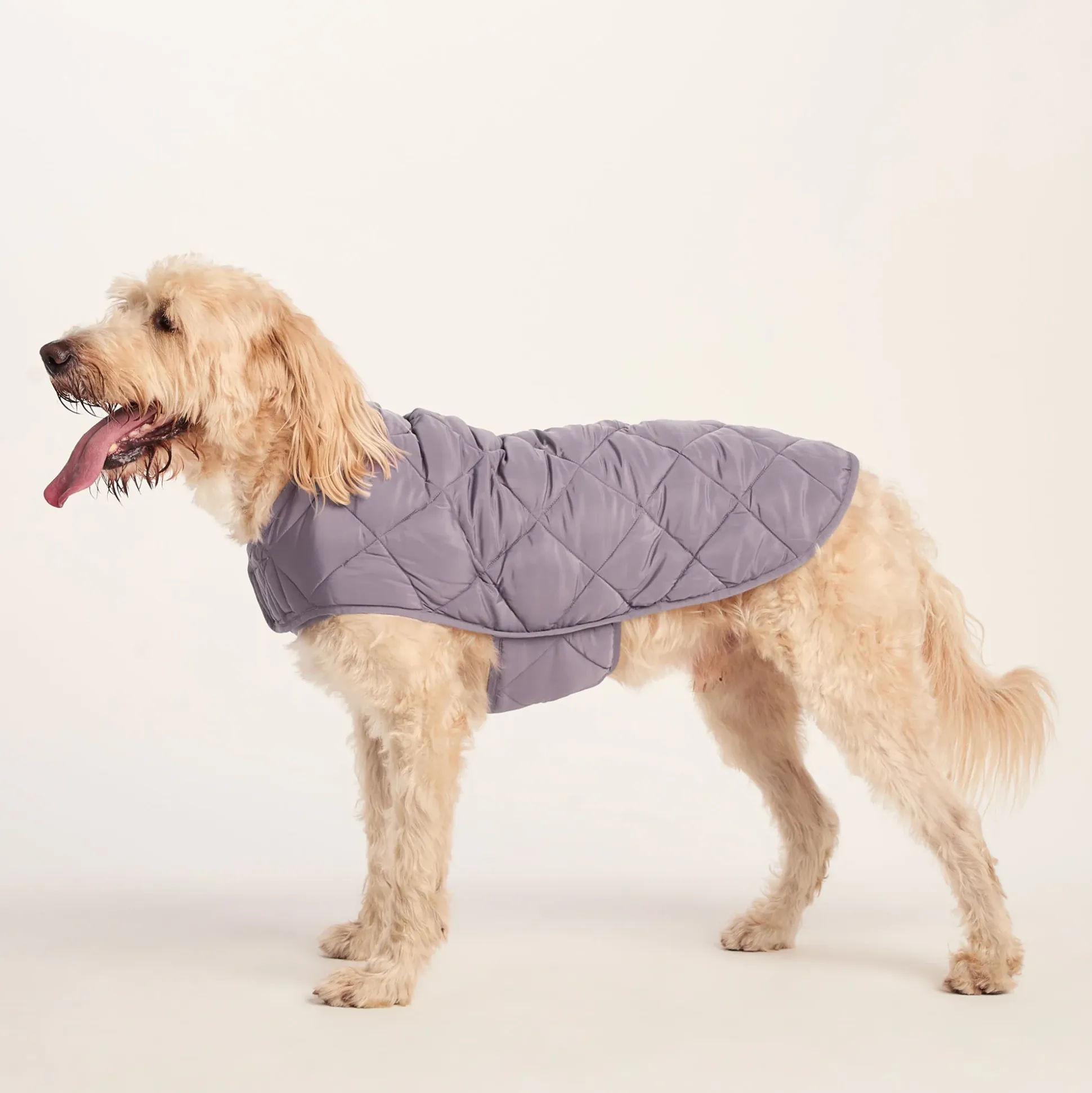 Fido Padded Dog Coat XL - Dusky Lilac
