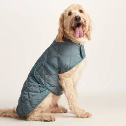 Fido Padded Dog Coat XL - Graphite