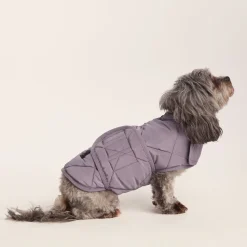 Fido Padded Dog Coat XS - Dusky Lilac