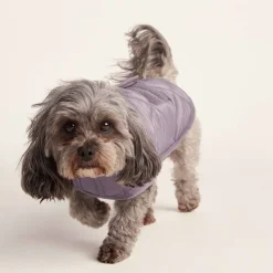 Fido Padded Dog Coat XS - Dusky Lilac