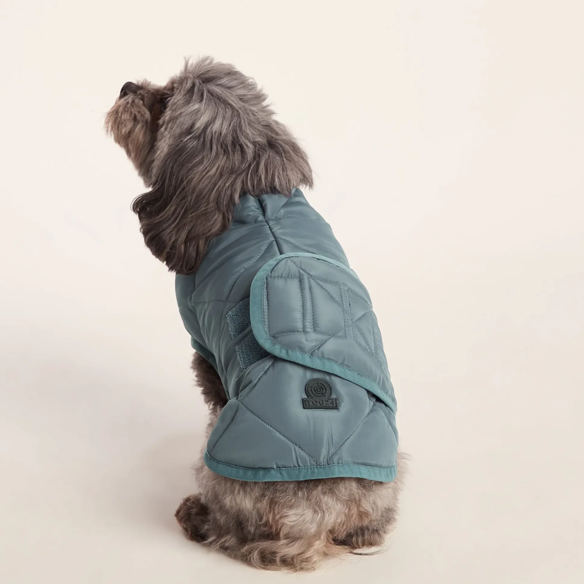 Fido Padded Dog Coat XS - Graphite