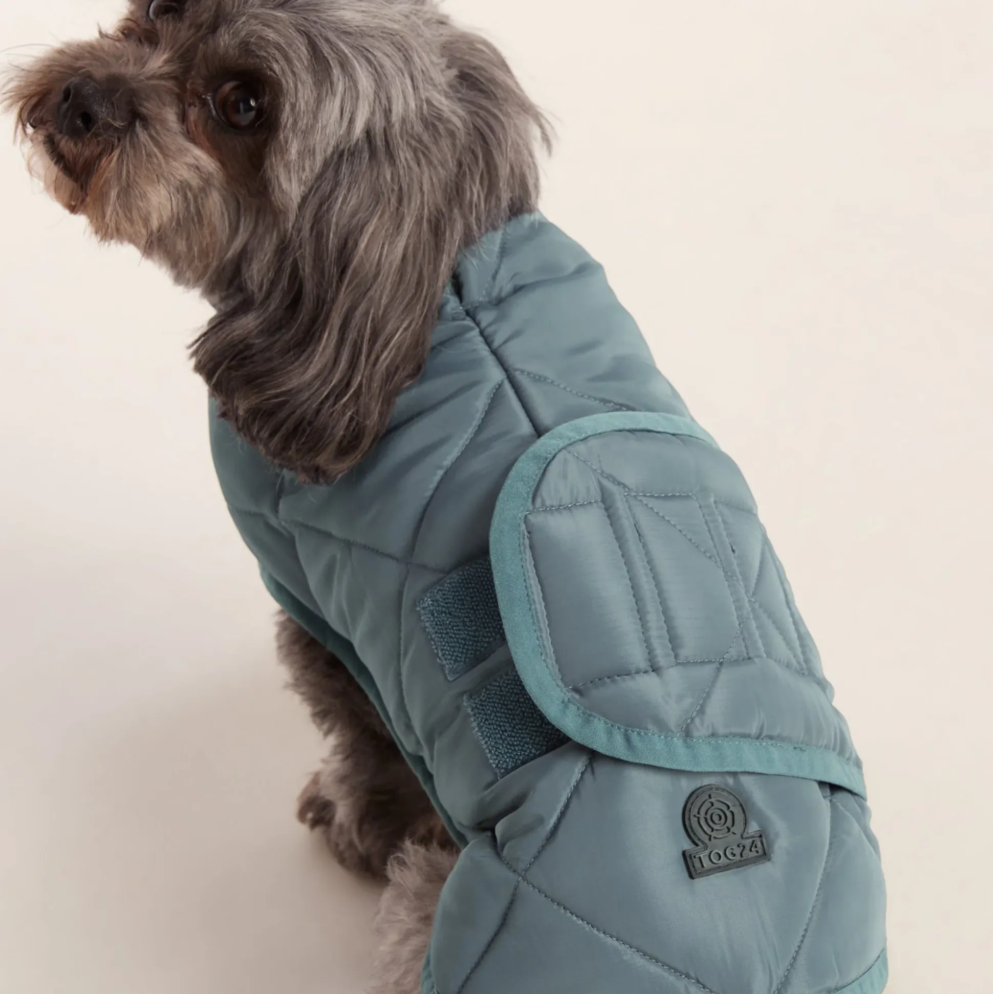 Fido Padded Dog Coat XS - Graphite