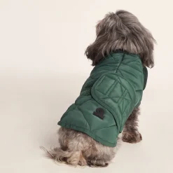 Fido Padded Dog Coat XS - Racing Green