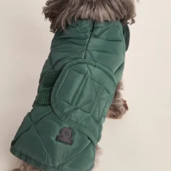 Fido Padded Dog Coat XS - Racing Green